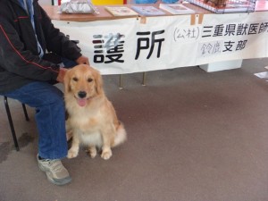 リモ　フェス